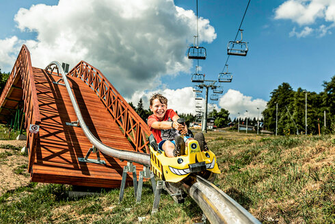 MOUNTAIN COASTER : KLÍNY